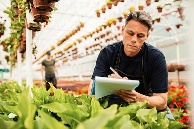 Госуслуги для сельхозпроизводителей через E-agriculture