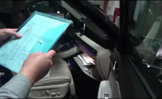 Кокшетау: миллионы в каннабисе обернулись финансовым крахом