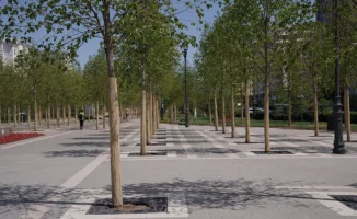 Депутат сравнил стоимость липы в Астане с пенсиями казахстанцев: шокирующий факт