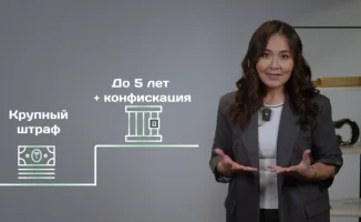 Финансовый лабиринт: как не заблудиться в мире кредитов и обещаний