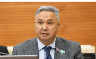 Депутат Казахстана: система поддержки бизнеса не выполняет своих функций
