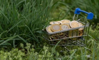 Алматинская область собрала рекордные доходы за год