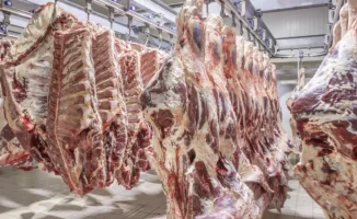Казахстан ограничил вывоз говядины: министр объяснил причины