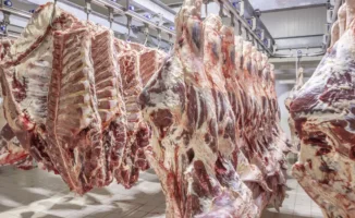 Новые меры по контролю экспорта говядины в Казахстане