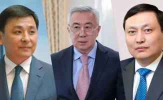 Казахстанские чиновники 2024 года: доходы варьируются от нуля до миллионов тенге