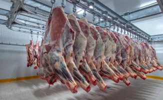 Казахстан удерживает мясной рубеж: экспорт говядины под замком