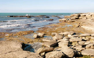 Казахстан выделяет 1,1 миллиарда тенге на изучение и сохранение Каспия