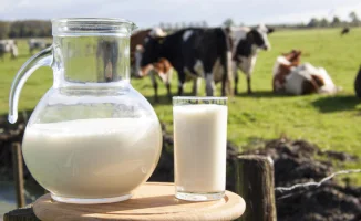 Депутаты Кыргызстана обеспокоены экспортом молока в Казахстан: угроза продовольственной безопасности страны