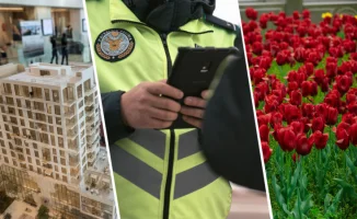 Казахстан: новый старт с марта 2026 — изменения, как свежий ветер перемен