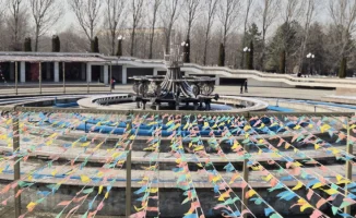 Парк Первого президента: сохранить ли природу или оживить?