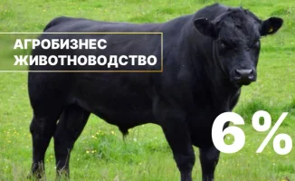 В Казахстане стартует льготное кредитование животноводства от АО 'Аграрная кредитная корпорация'
