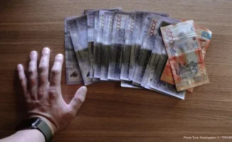 Похищение миллиардов тенге: ветеринария и схема хищения в Туркестане