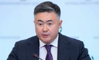 Сулейменов о декларации: решение о публикации не подлежит