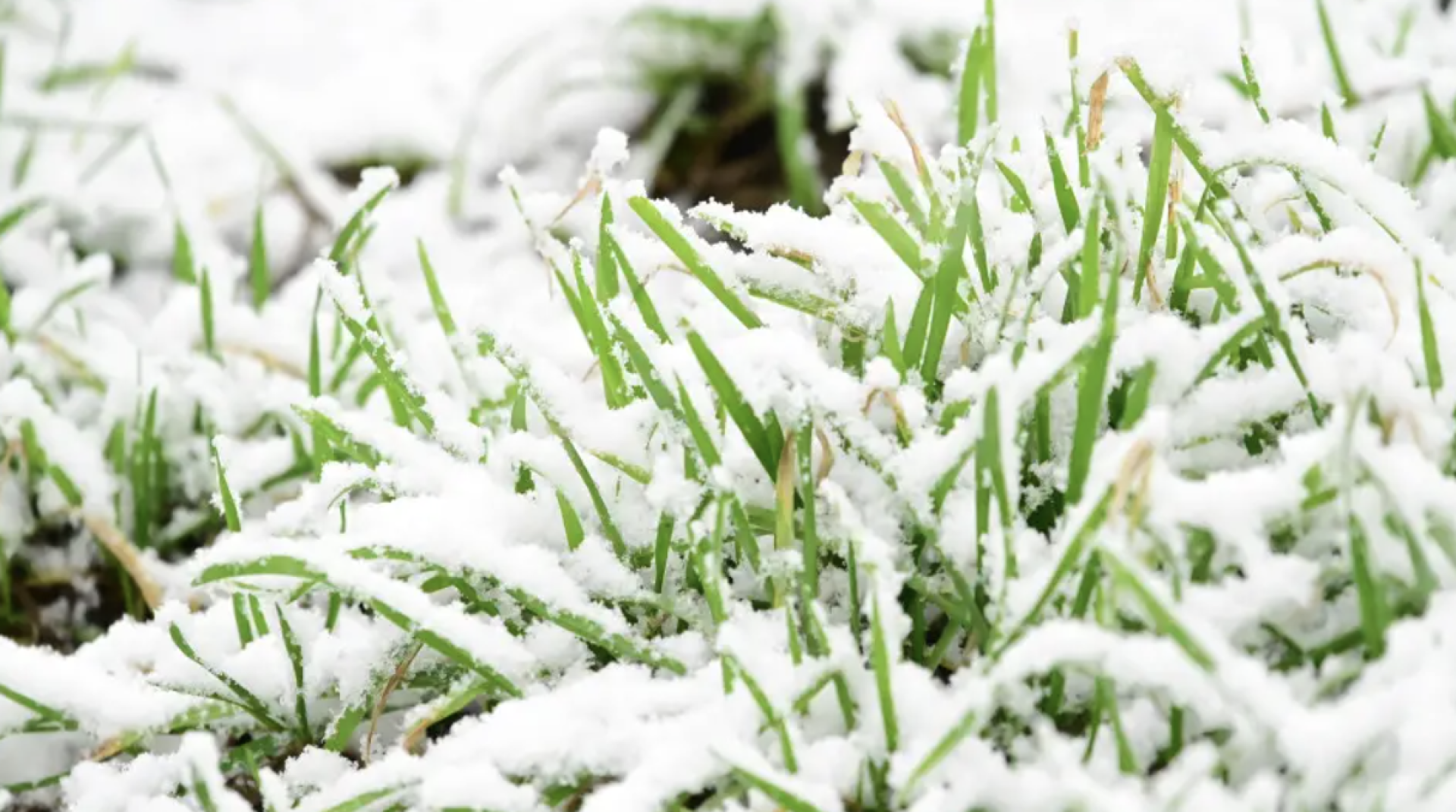 погода в Казахстане