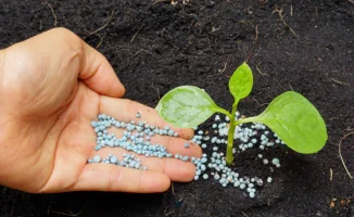 Блокада Ормуза: как нефть и удобрения влияют на урожай