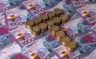 Дополнительная пожизненная пенсия: новые возможности для казахстанцев от Минтруда