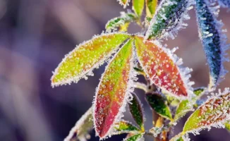 Поворот в деле Жанабыловых, новые тенге и заморозки. Главные новости за 24 апреля