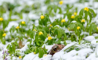 Похолодание, пожар в Астане и громкие процессы: главные события 13 апреля