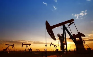 Турецкая нефтяная компания выходит на рынок Казахстана: энергетика